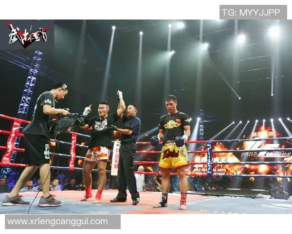 杨茁与邱建良的巅峰对决揭示拳击世界的激烈竞争与未来发展潜力