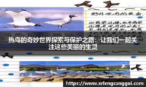 热鸟的奇妙世界探索与保护之路：让我们一起关注这些美丽的生灵